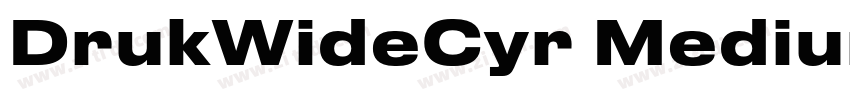 DrukWideCyr Medium字体转换